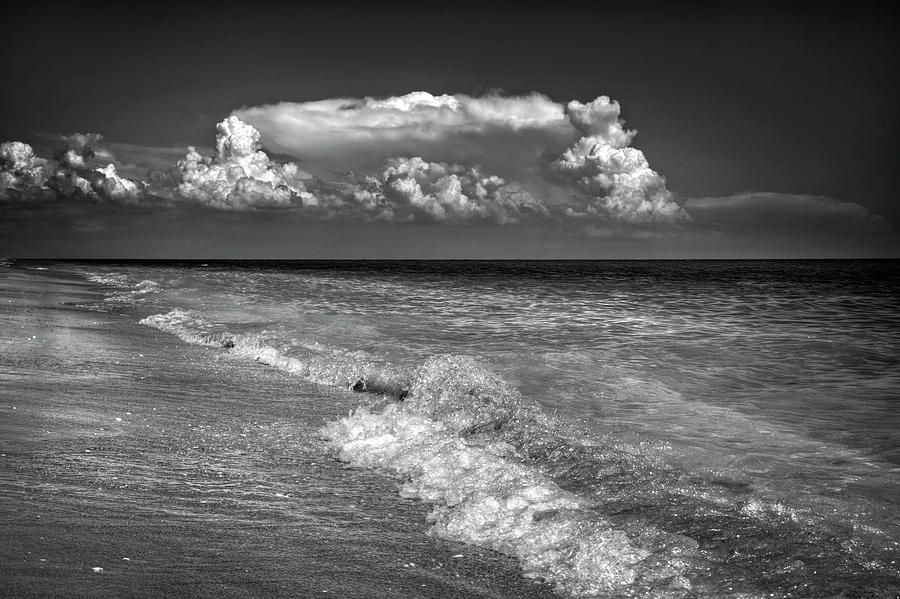 Shells, Surf And Summer Sky in Black and White Photograph by Greg and Chrystal Mimbs
