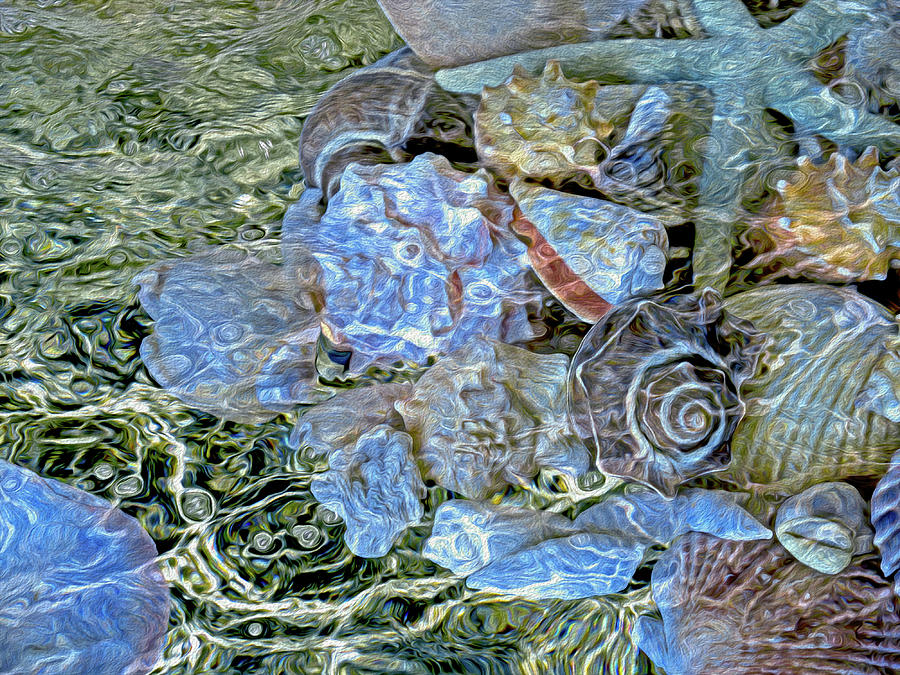 Shells Underwater 20 Mixed Media by Lynda Lehmann