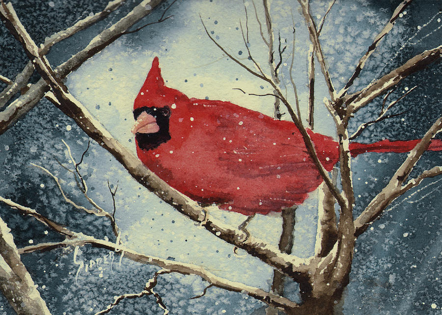 Cardinal Painting - Shellys Cardinal by Sam Sidders