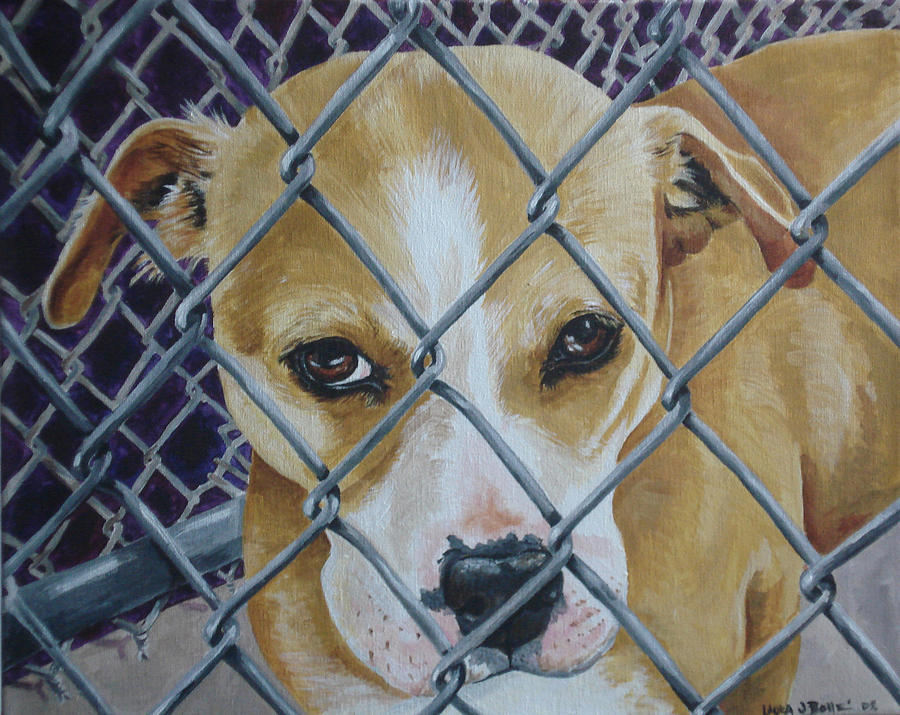 Shelter Dog Painting by Laura Bolle
