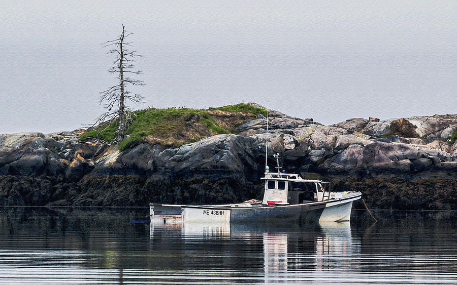 Sheltered Mooring Photograph by Marty Saccone