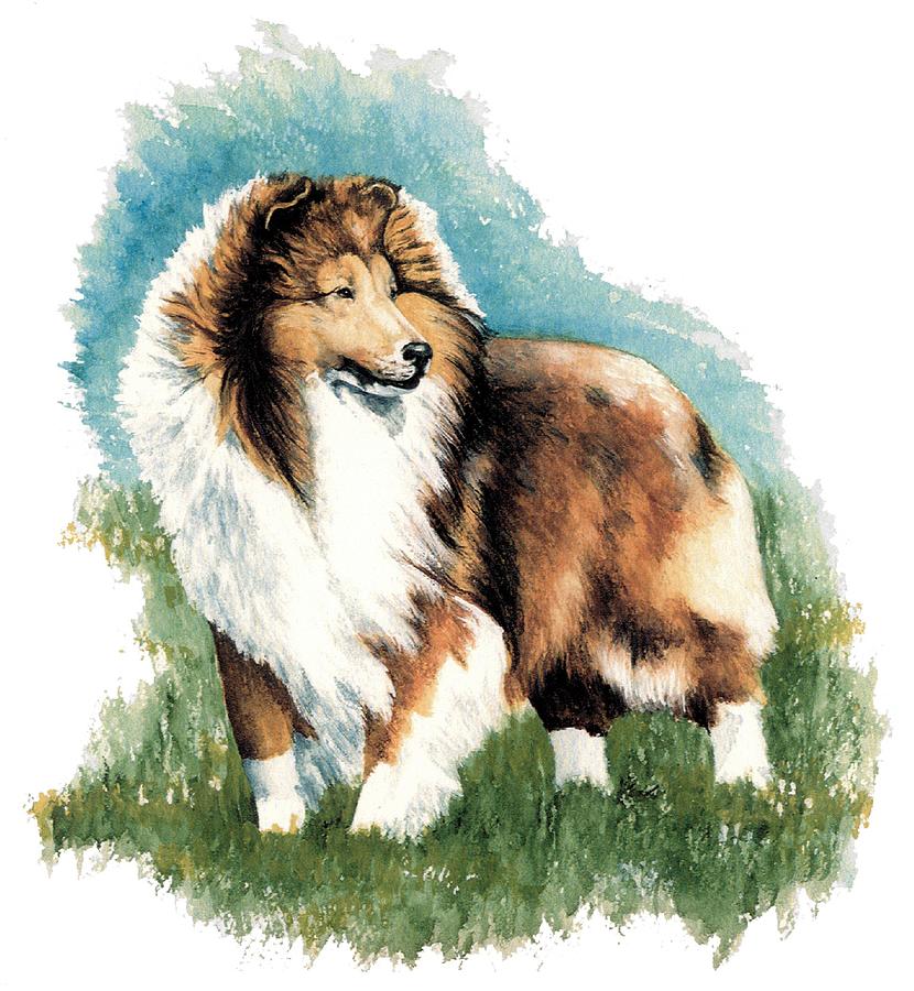 Dog Painting - Sheltie Watch by Kathleen Sepulveda