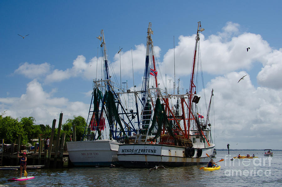 Shem Creek Summer Photograph by Dale Powell