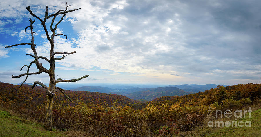 Shenandoah  Photograph by Michael Ver Sprill