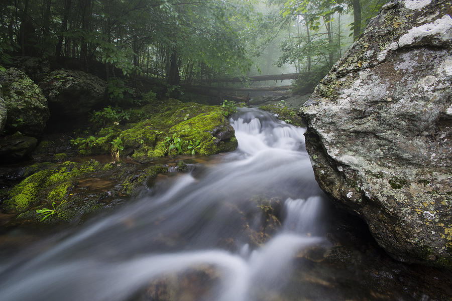 Shenandoah Mountain Stream Photograph by Dennis Kowalewski