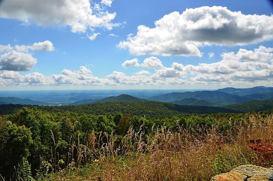 Shenandoah Mtns Virginia Photograph by Ronda Ryan