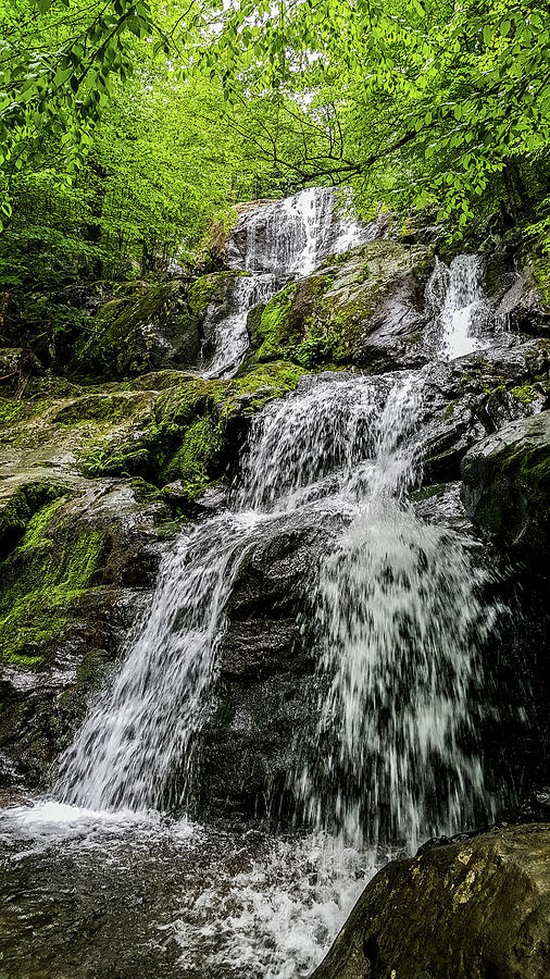 Shenandoah National Park Dark Hallow Falls Photograph by Gordon Visions