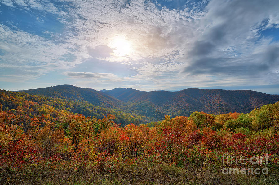 Shenandoah National Park Fall Foliage Photograph by Michael Ver Sprill