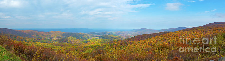 Shenandoah NP Overlook  Photograph by Michael Ver Sprill