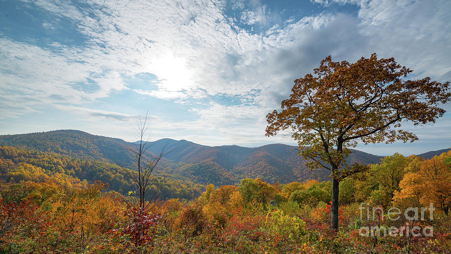 Shenandoah Overlook in Autumn Photograph by Michael Ver Sprill