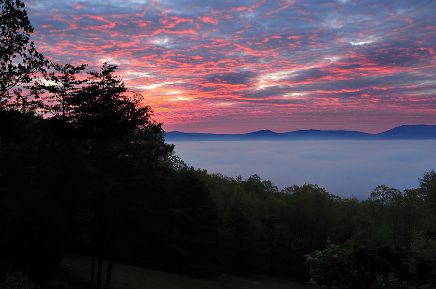 Shenandoah Valley Morning Serenity Photograph by Lara Ellis