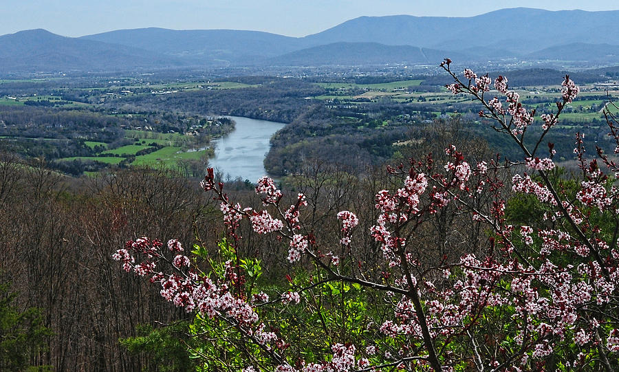 Shenandoah Valley Spring 2015 Photograph by Lara Ellis