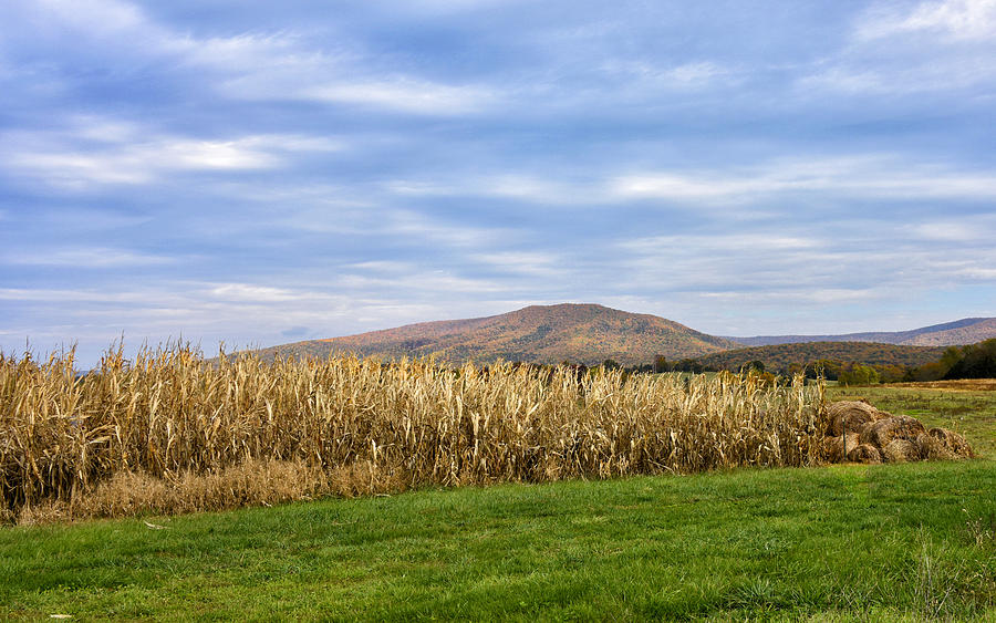 Shenandoah Valley Virginia - autumn scene Photograph by Brendan Reals