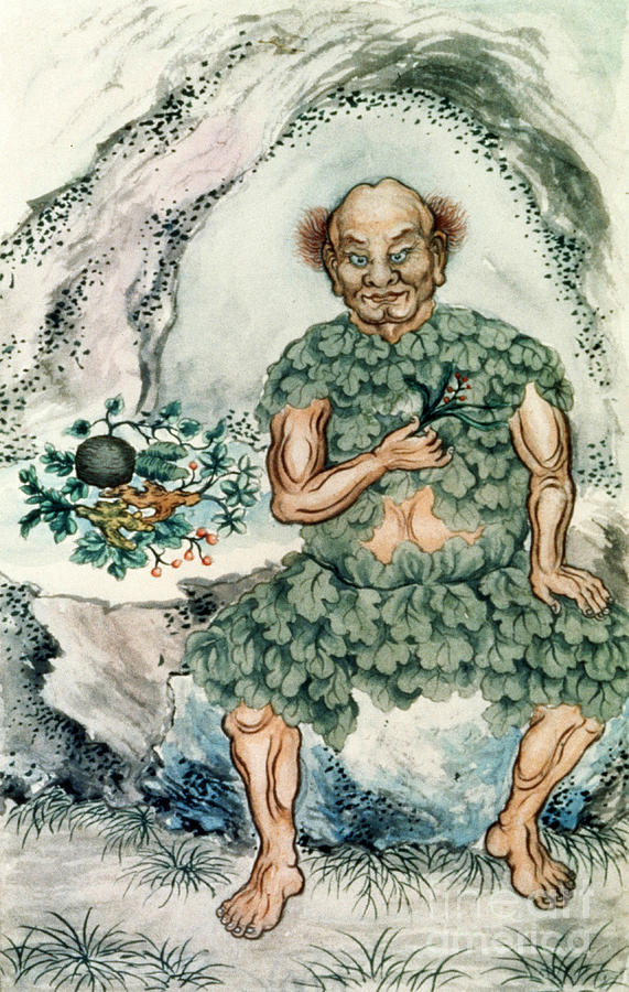 Shennong, Chinese God Of Medicine Photograph by Wellcome Images