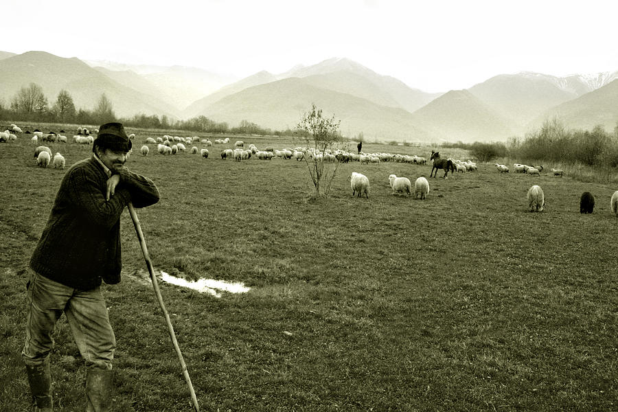 Shepherd in the Carpathians Mountains Photograph by Emanuel Tanjala