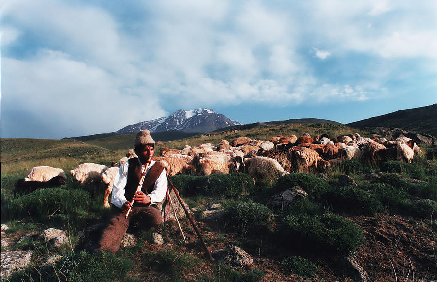 Shepherd  Photograph by Salma