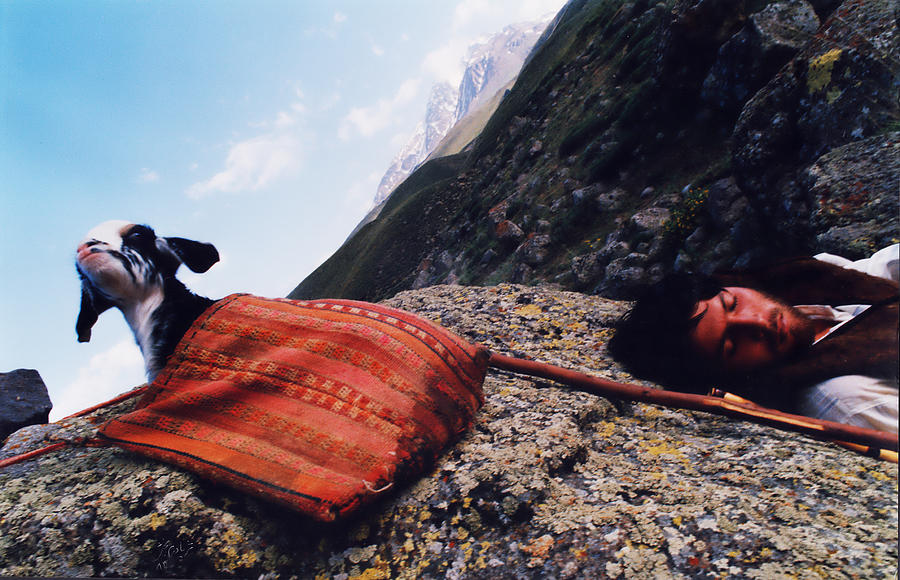 Shepherd Sleeping Photograph by Salma