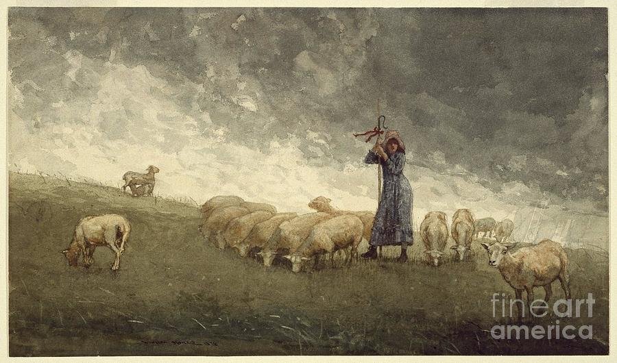 Shepherdess Tending Sheep Painting by MotionAge Designs