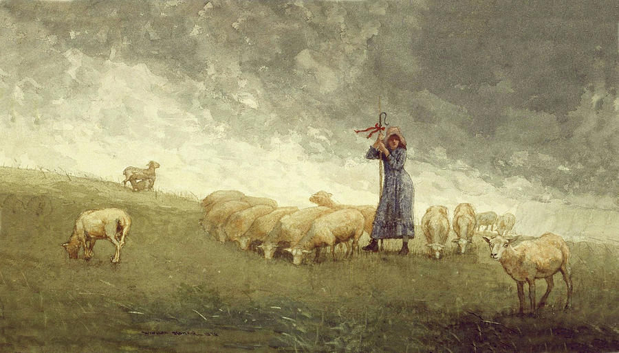 Shepherdess Tending Sheep Winslow Homer 1878 Painting by Winslow Homer
