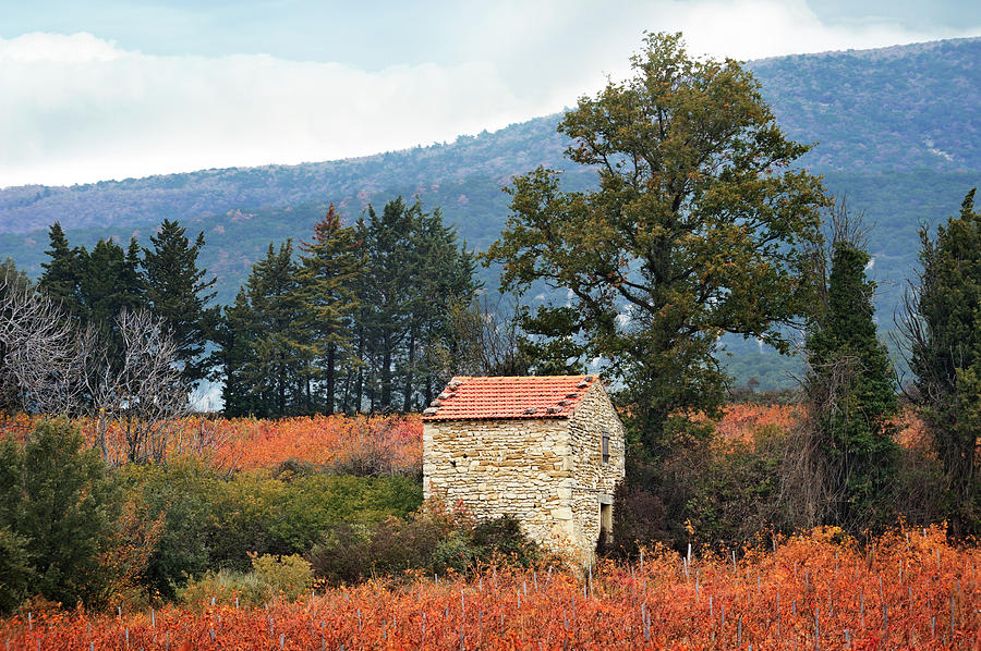 Shepherds hut, Provence in Autumn Photograph by Jean Gill