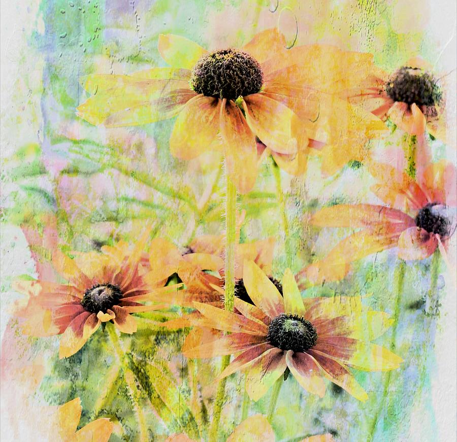 Sherbet Flowers Photograph by Virginia Folkman