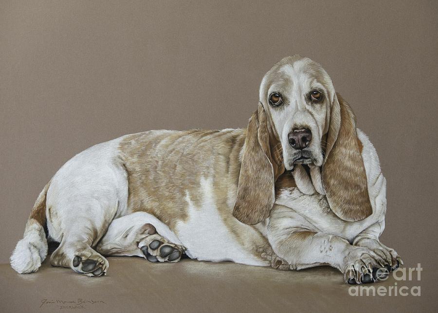 Dog Pastel - Sherlock by Joni Beinborn