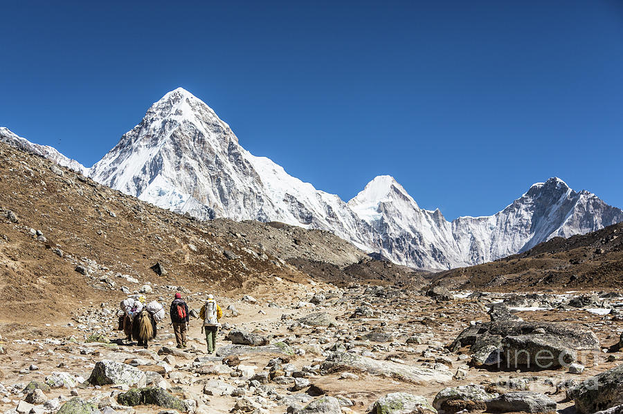 Sherpas and their yak walking toward Everest base camp Photograph by Didier Marti