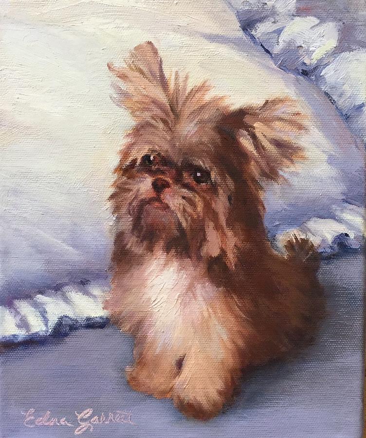 Dog Painting - Sherrys Coco by Edna Garrett