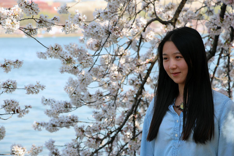 Shes As Pretty As The Cherry Blossoms Photograph by Cora Wandel