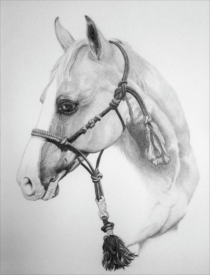 Horse Drawing - Shes the Gentle One by Tracy L Teeter 