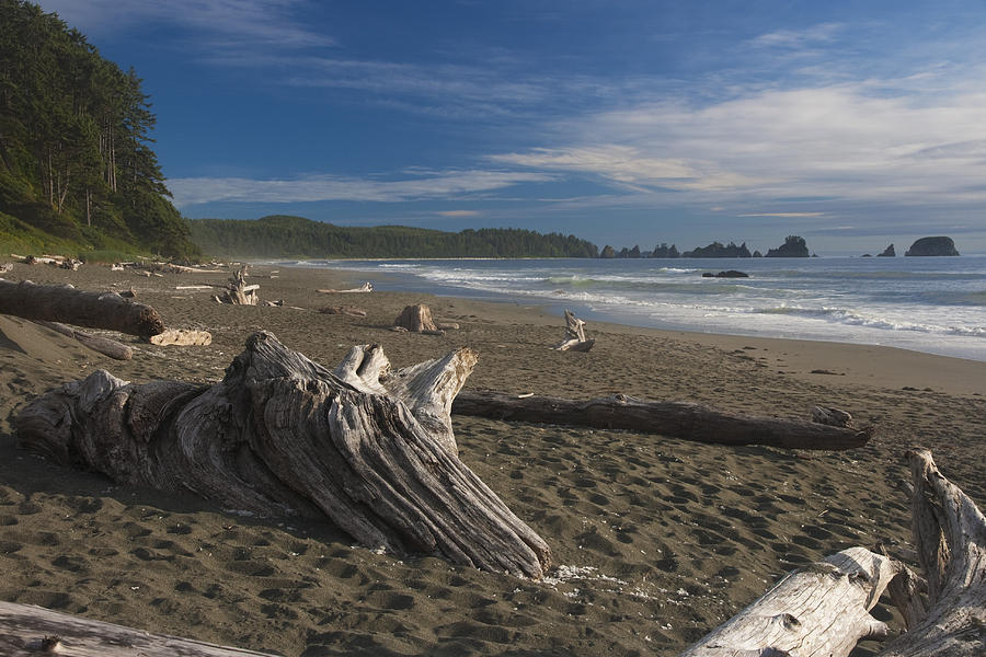 Shi Shi Beach Driftwood Afternoon Photograph by Scott Cunningham