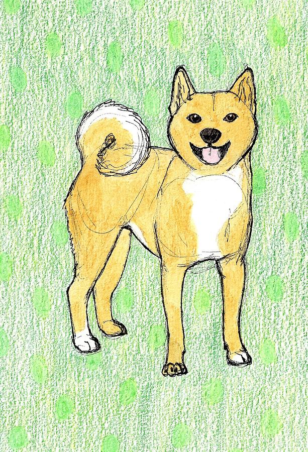 shiba inu drawing