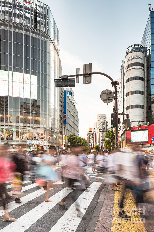 Shibuya crossing in Tokya Photograph by Didier Marti