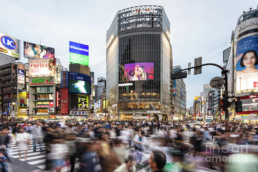 Shibuya crossing in Tokyo Photograph by Didier Marti