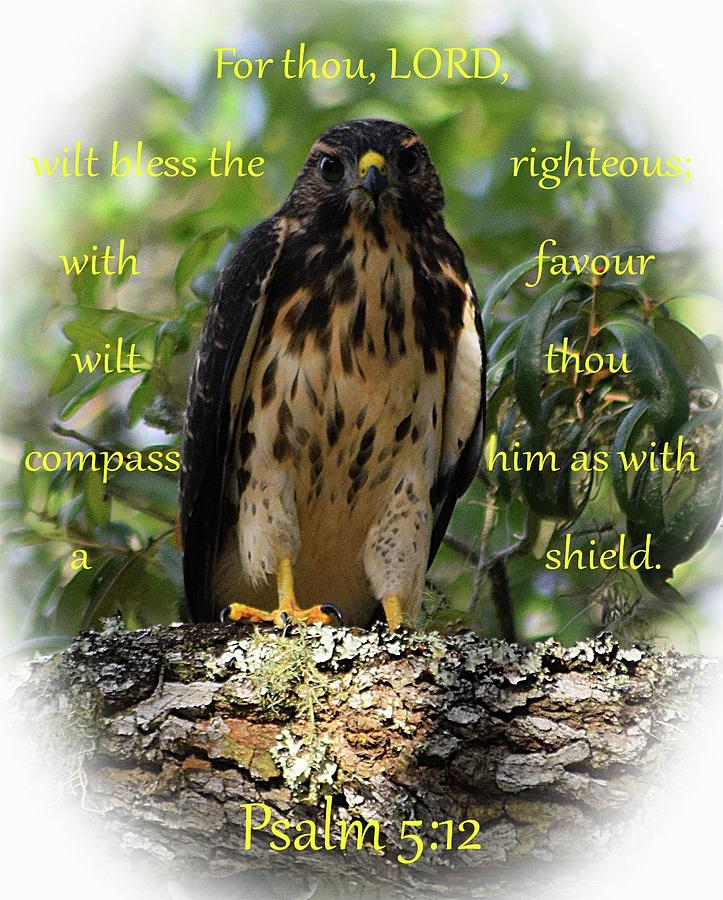 Shielded by the Lord Photograph by Sheri McLeroy