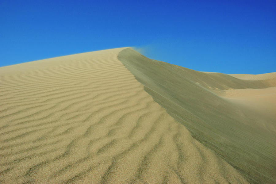 Shifting Dune Photograph by Lara Ellis
