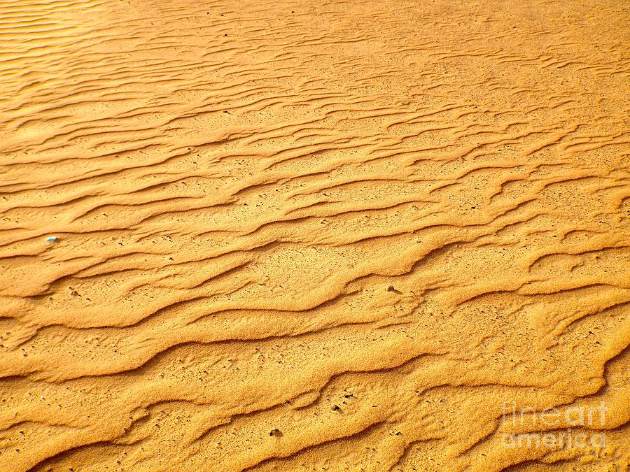 Horizontal Photograph - Shifting Sands by Barbara Von Pagel
