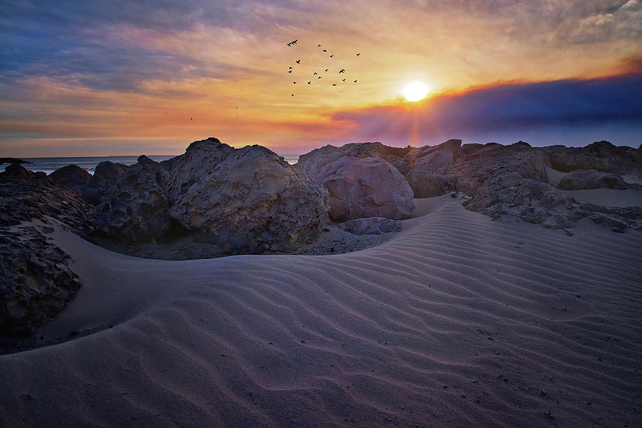 Shifting Sands in Ventura Photograph by Lynn Bauer