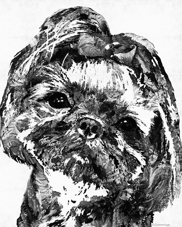 Shih Tzu Dog Art In Black And White by Sharon Cummings Painting by Sharon Cummings