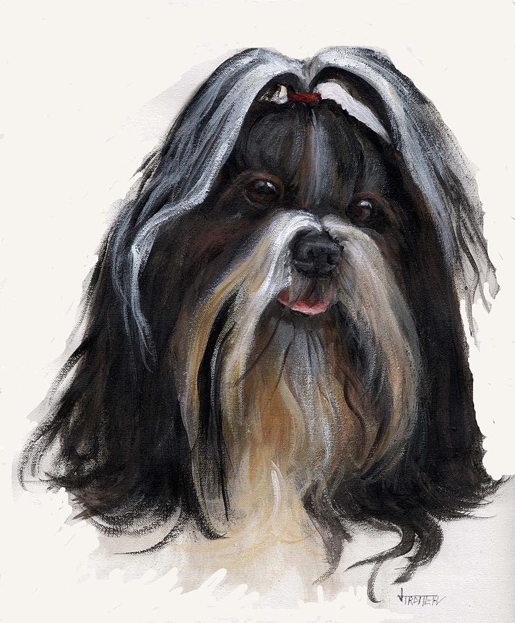 Animal Painting - Shih Tzu by Jimmie Trotter