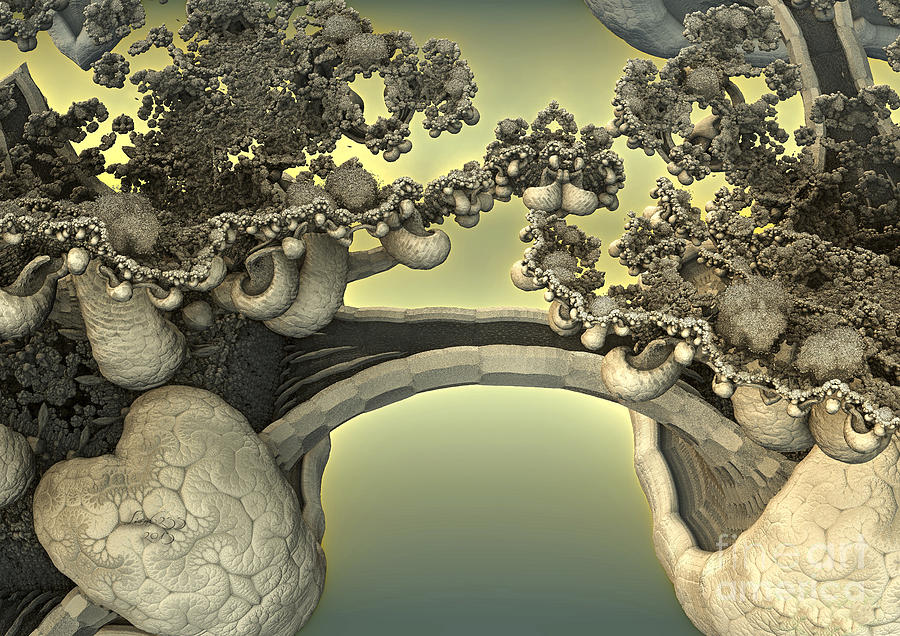 Shiitake Mushrooms Digital Art by Melissa Messick
