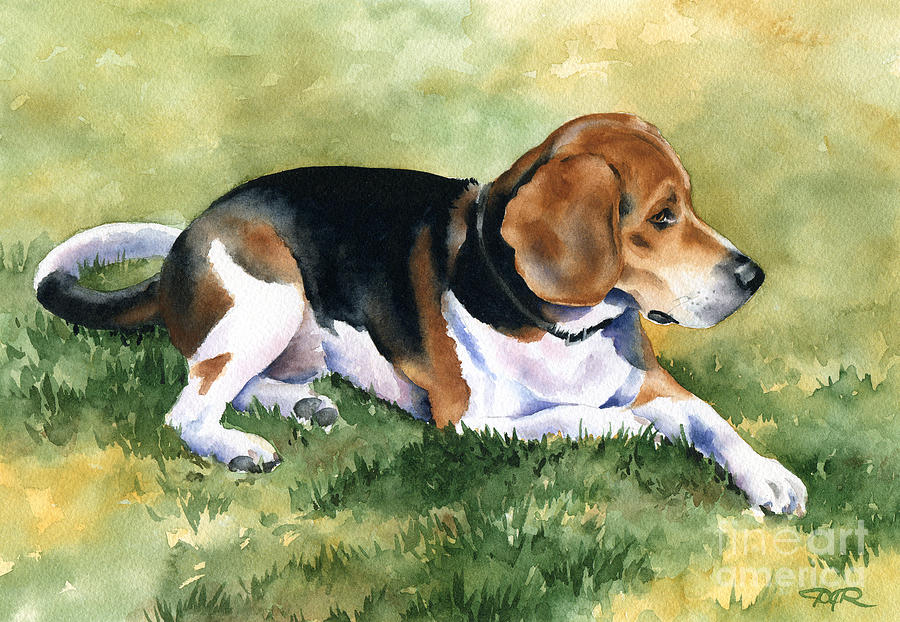 Dog Painting - Shiloh by David Rogers