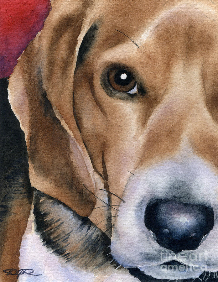 Dog Painting - Shiloh II by David Rogers