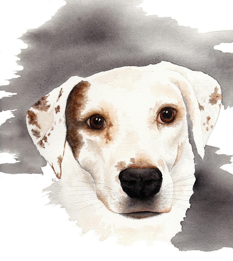 Shiloh Painting by Shelly Reiner - Fine Art America
