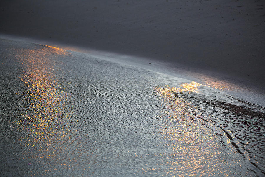 Shimmer Photograph by Lara Morrison