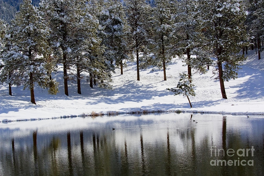 Shimmering Duck Pond in Colorado Snow Photograph by Steven Krull