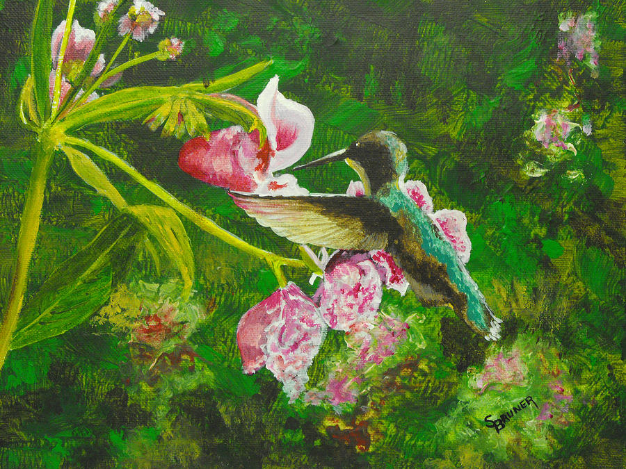 Shimmering Hummingbird  Painting by Susan Bruner