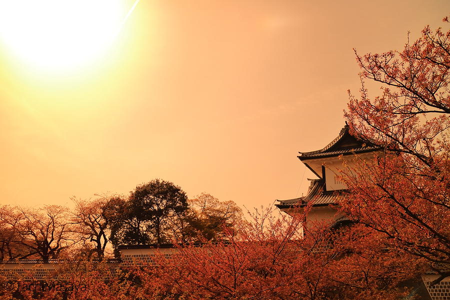 Castle Photograph - Shine of Praise by Tachi Masaya