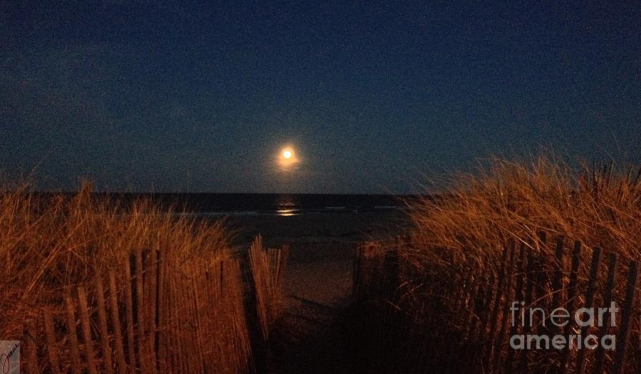 Beach Photograph - Shine on Harvest Moon by Janice Reed Messier