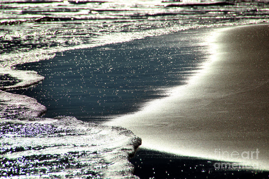Shiney Beach at Point Reyes National Seashore Marin County California Photograph by Wernher Krutein